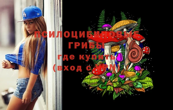 ГАЛЛЮЦИНОГЕННЫЕ ГРИБЫ Красноперекопск